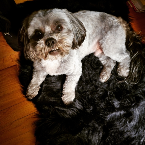 Meet Your Posher! - Picture 3 of 3